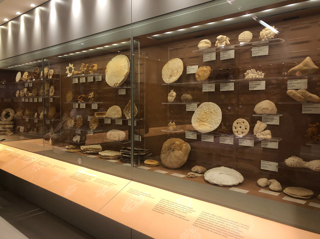 Museo del Costume-Nuoro必去景点