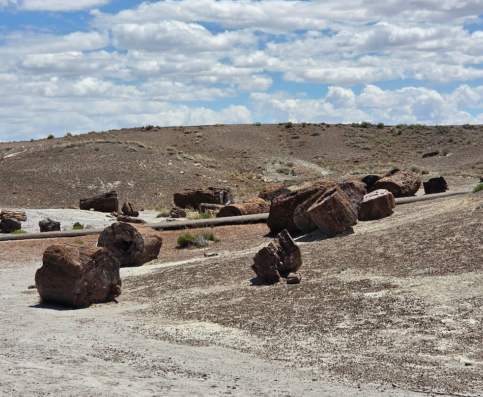 Petrified Forest National Park-霍尔布鲁克必去景点