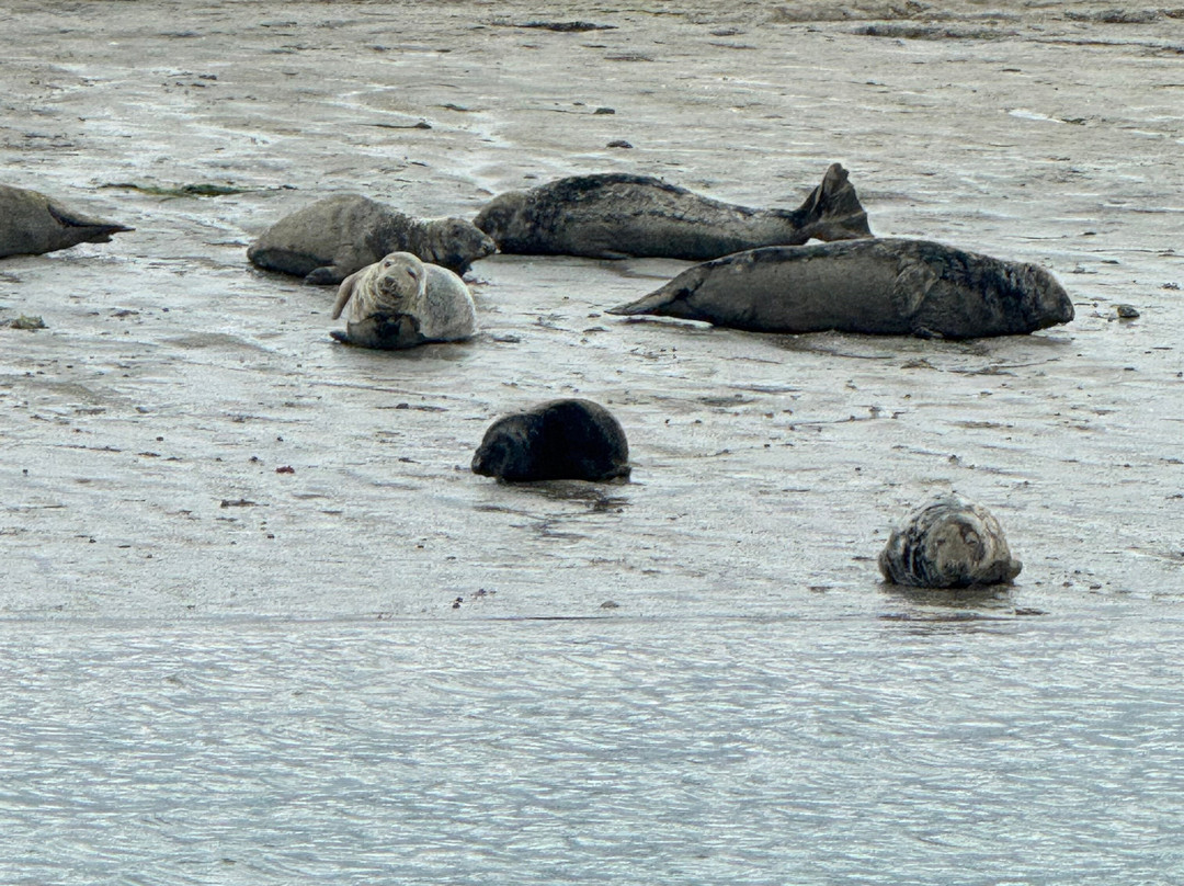 Chichester Harbour Water Tours-West Itchenor必去景点
