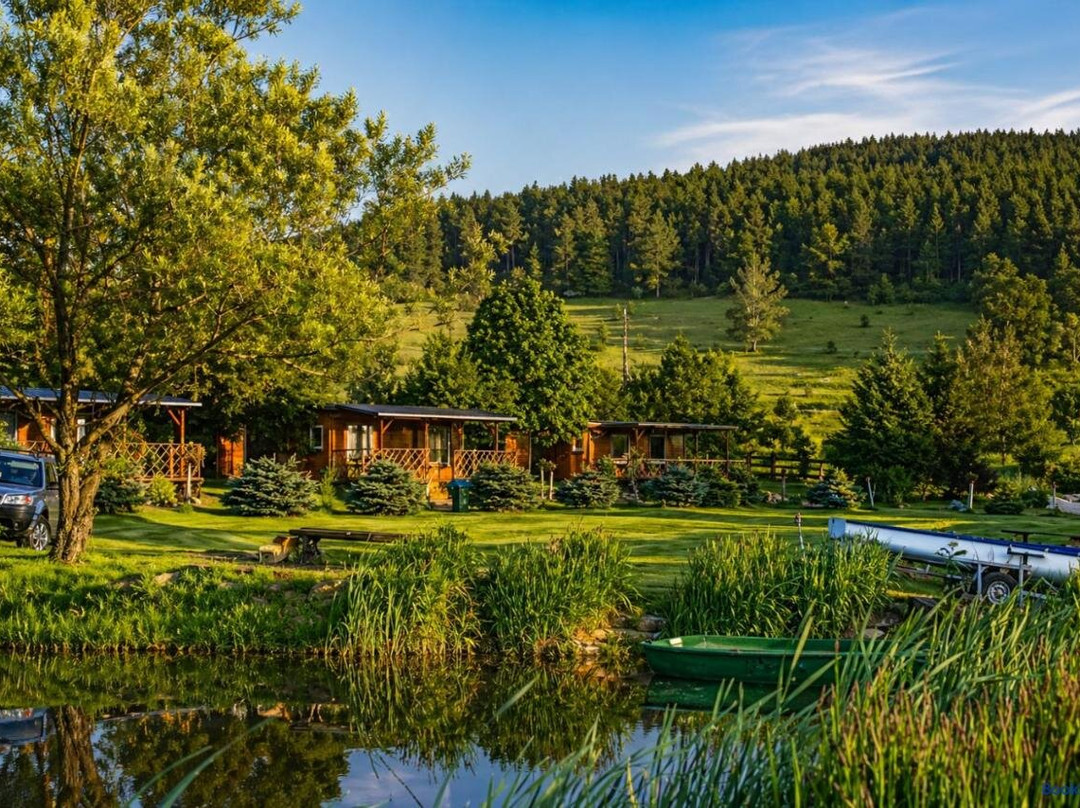 Stanica pod Zadzierną