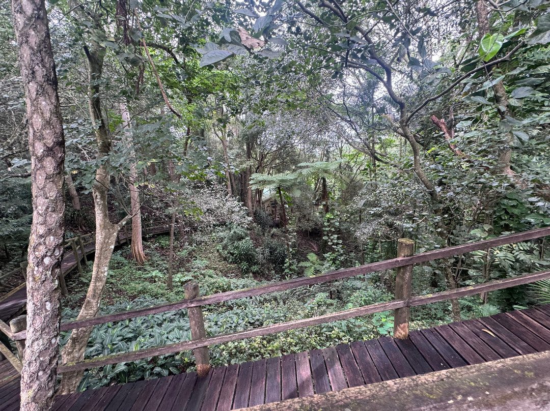 蒙特维尔瀑布山林小屋主图