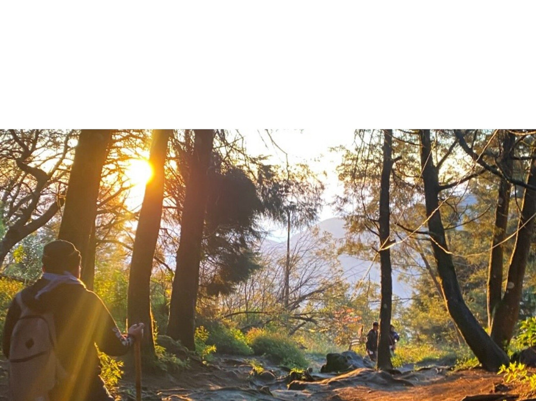 Sikunir Mountain-Dieng必去景点