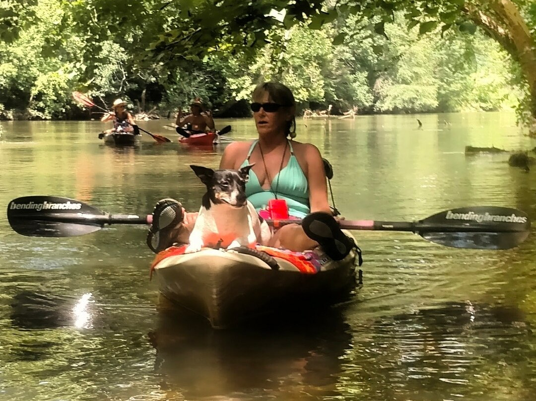 Redneck Yacht Club Canoe and Kayak Rental-Piedmont必去景点