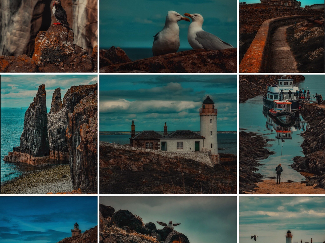 Scottish Seabird Centre-北柏威克必去景点