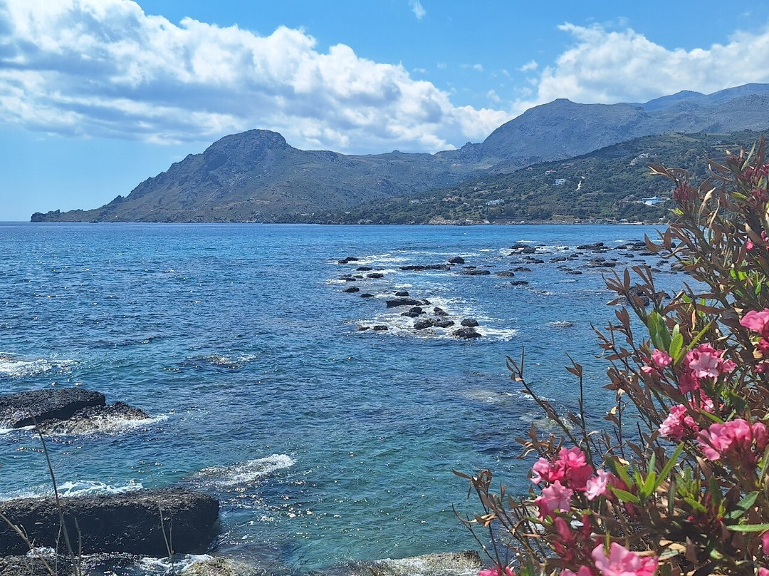 Souda Beach-Plakias必去景点