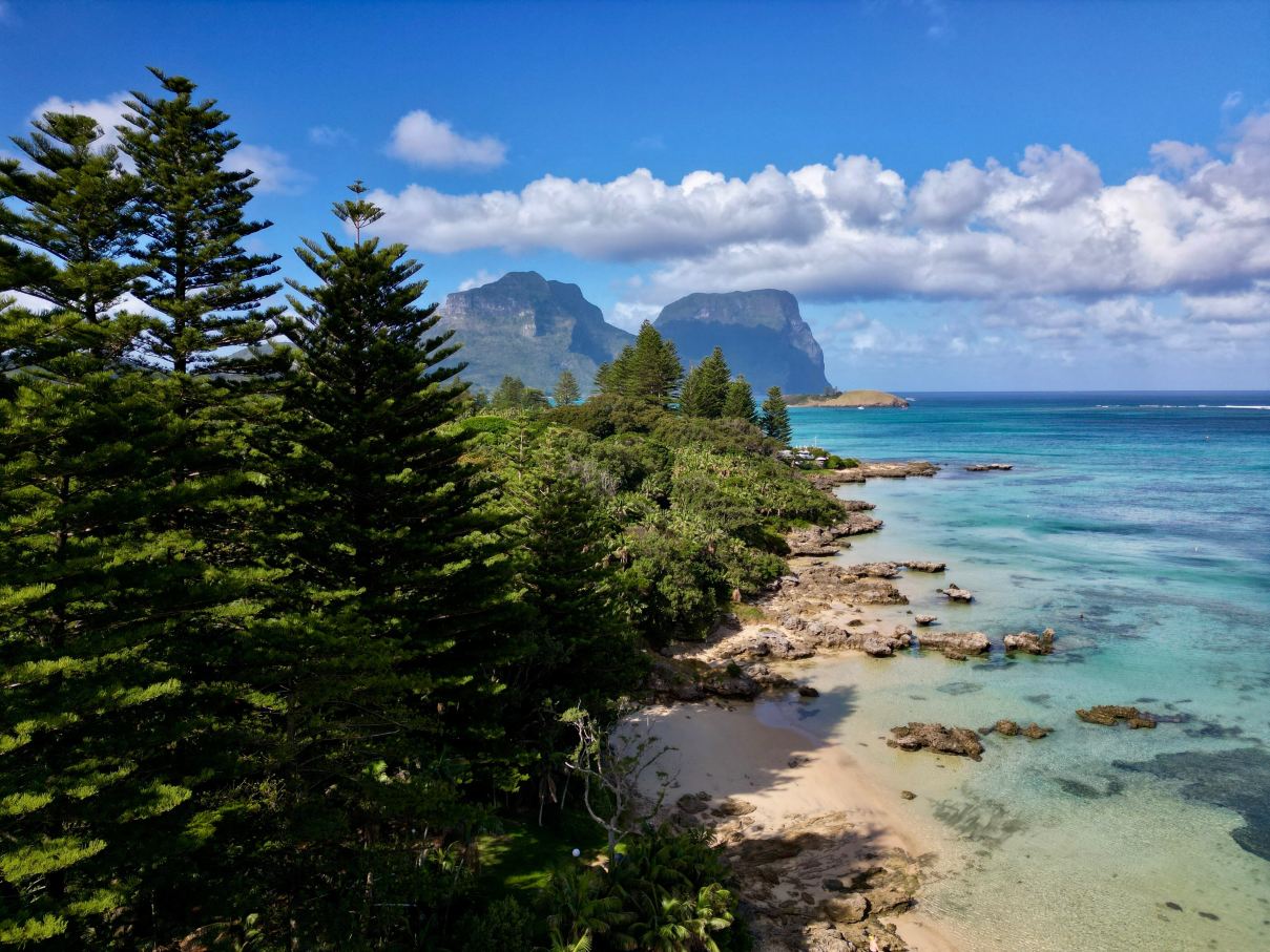 Capella Lodge-旅行者