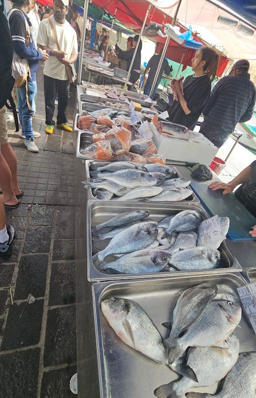 Marsaxlokk Market-Marsaxlokk必去景点