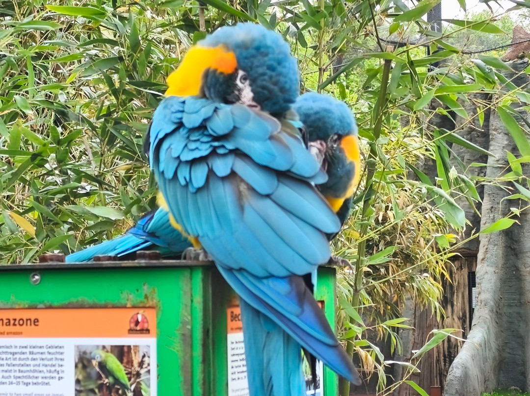 Zoo Leipzig-莱比锡必去景点