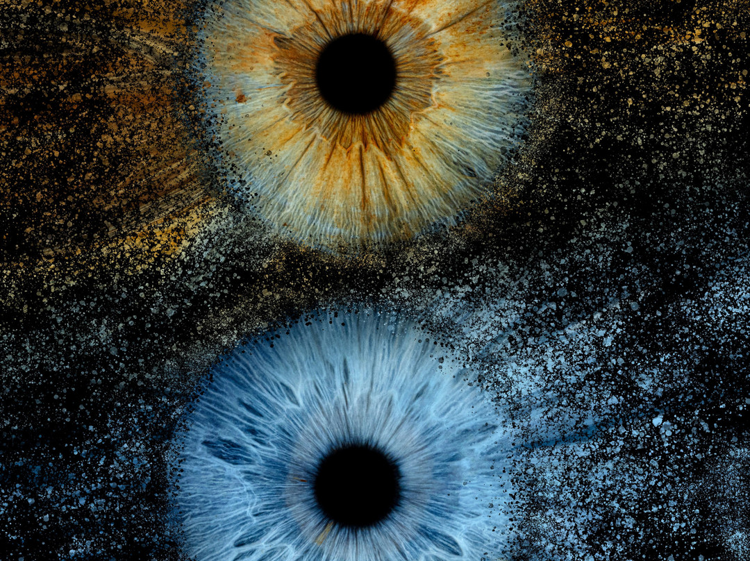 Iris Galerie Amsterdam Spiegelgracht-阿姆斯特丹必去景点
