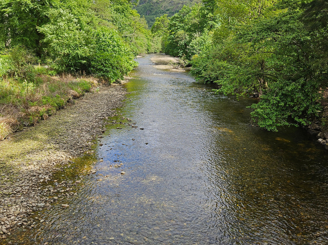 Benmore Botanic Garden-Benmore必去景点