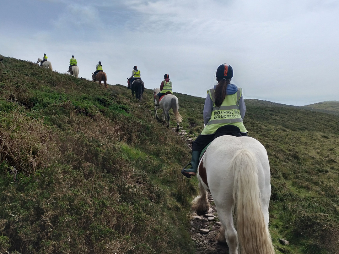 Dingle Horse Riding-丁格尔必去景点