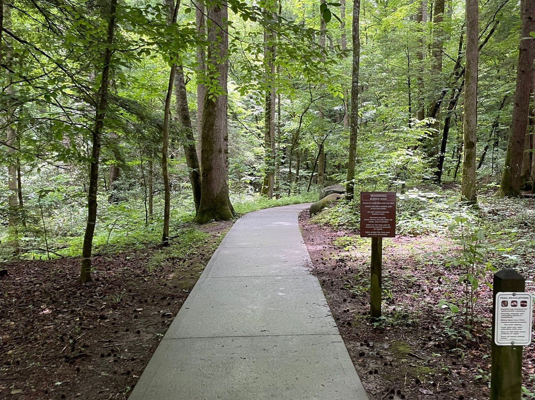 Sugarlands Valley Nature Trail-大雾山国家公园必去景点