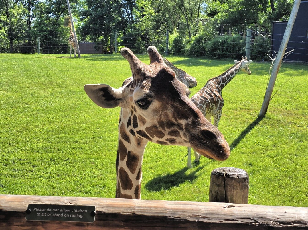 Fort Wayne Zoo-韦恩堡必去景点