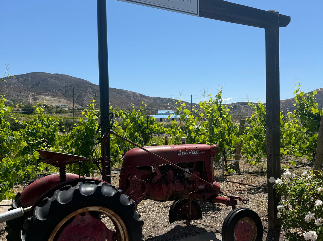 Robert Renzoni Winery-特曼库拉必去景点