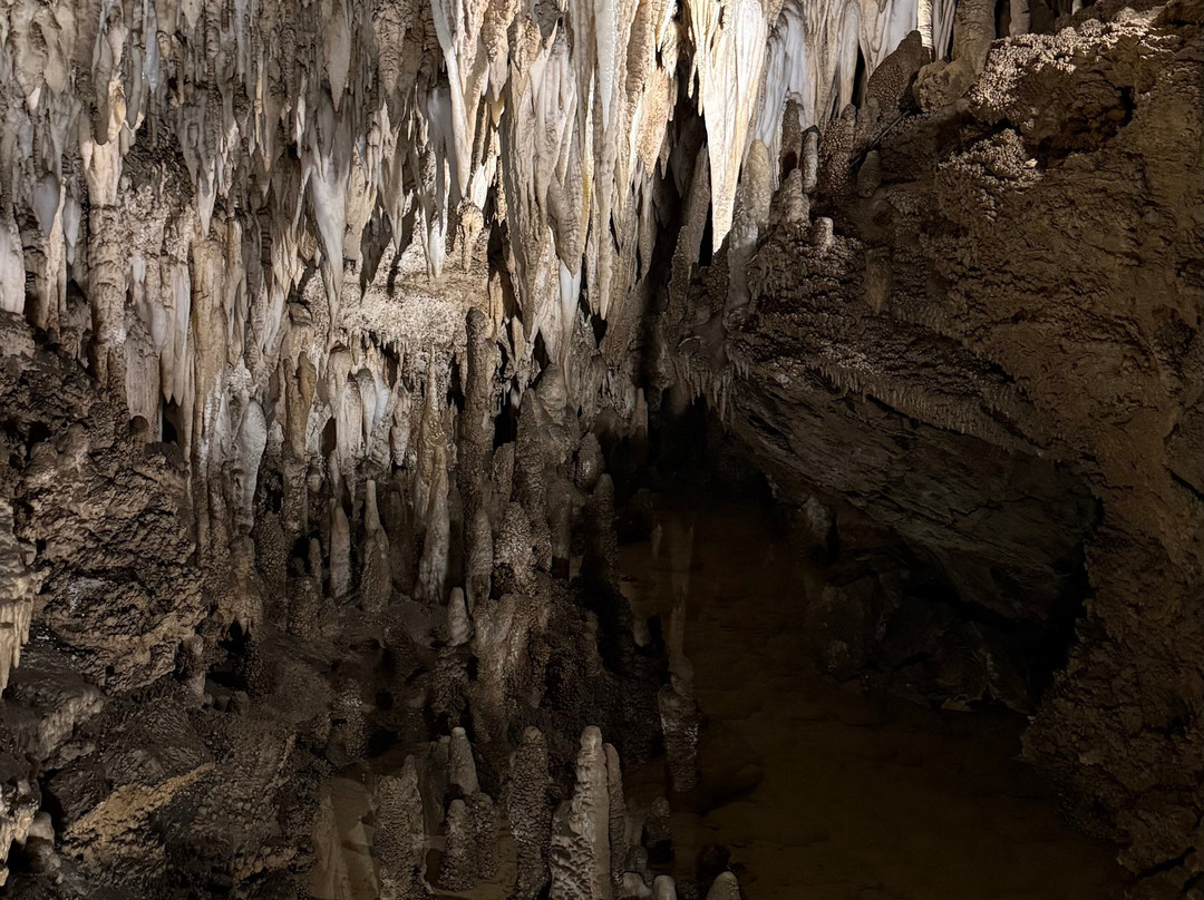 Grotta Antro del Corchia-Levigliani必去景点