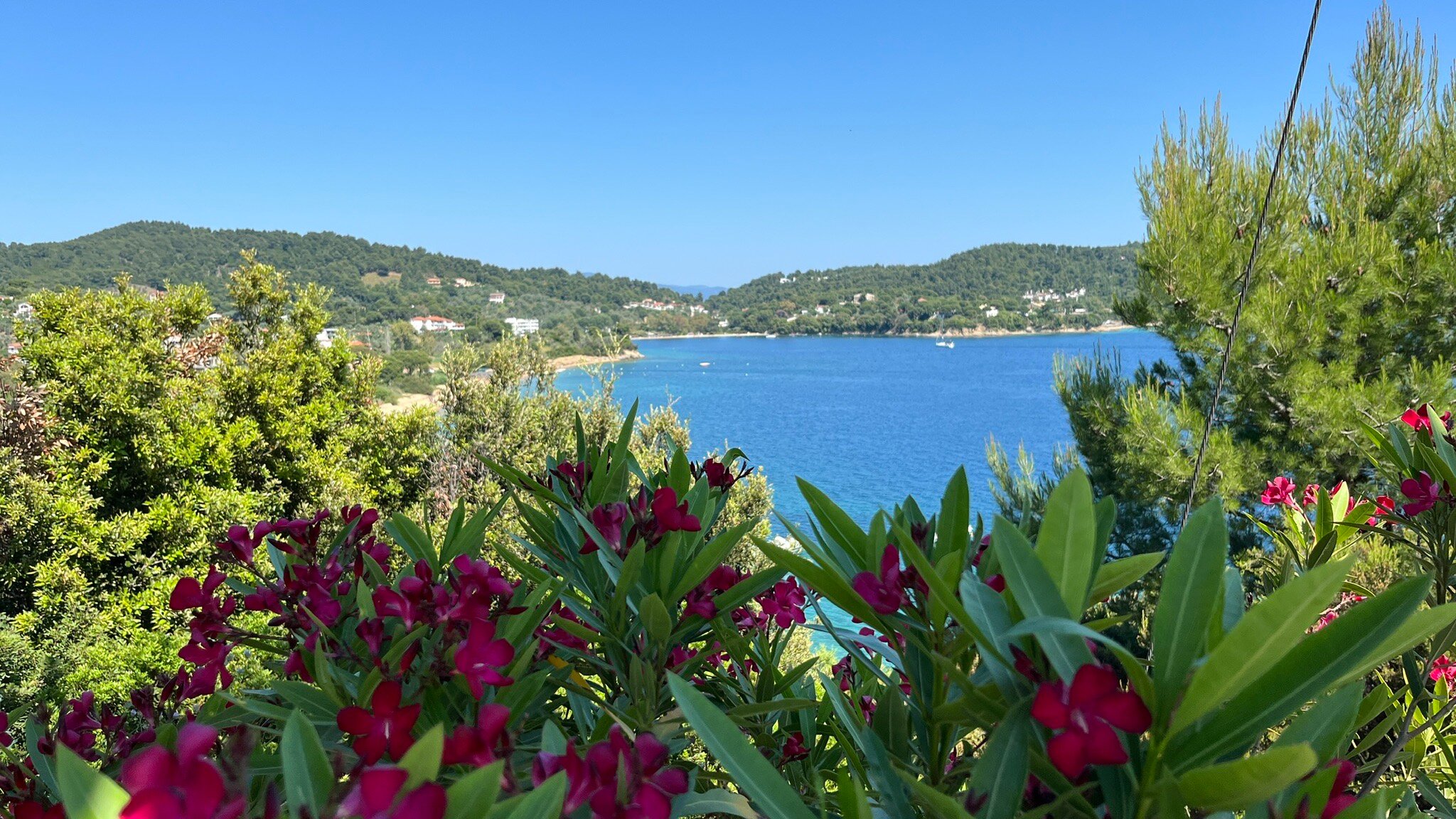 Arco Beach Hotel-旅行者