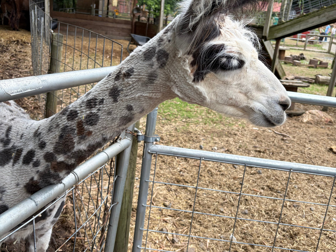 North Georgia Wildlife Park-Cleveland必去景点