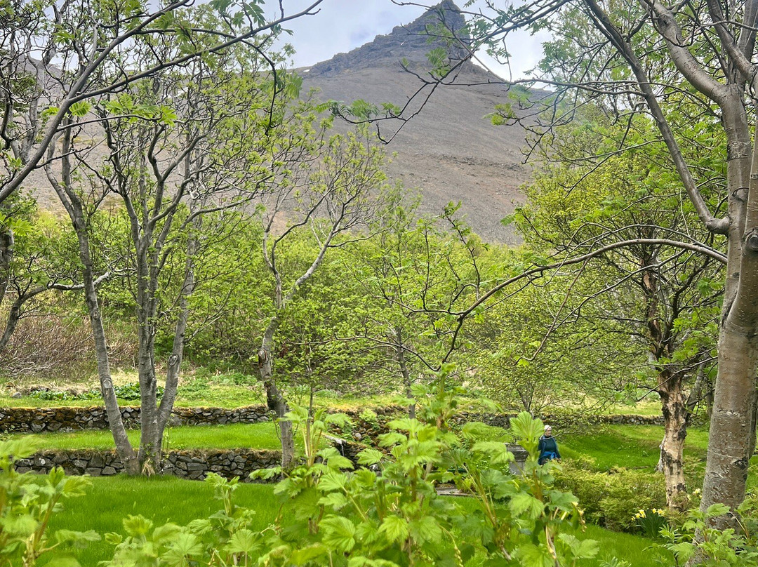 Skruður Botanical gardens-Thingeyri必去景点