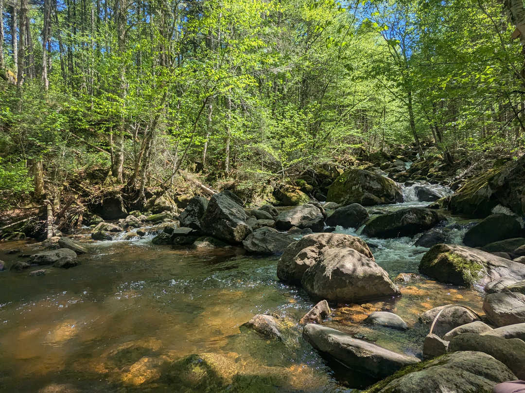 Parc national de la Jacques-Cartier-Stoneham-et-Tewkesbury必去景点