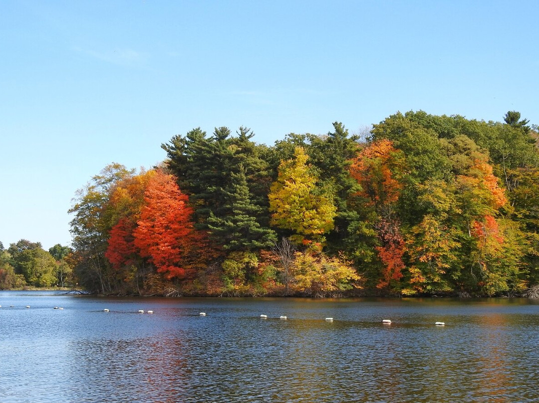 Christie Lake Conservation Area-邓达斯必去景点