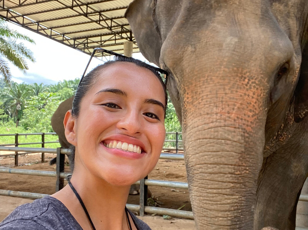 Krabi Elephant House Sanctuary-Sai Thai必去景点