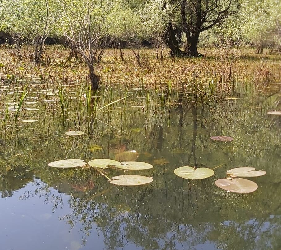 Lake Skadar-黑山共和国必去景点