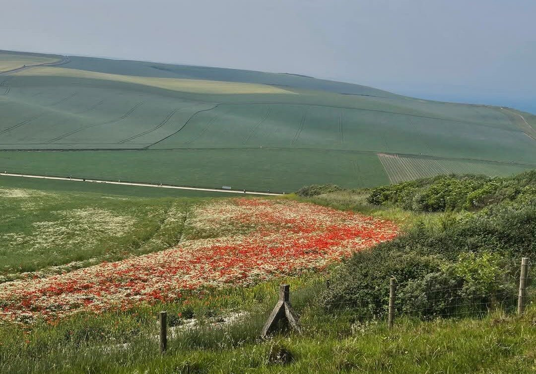 Cap Blanc-Nez-Escalles必去景点