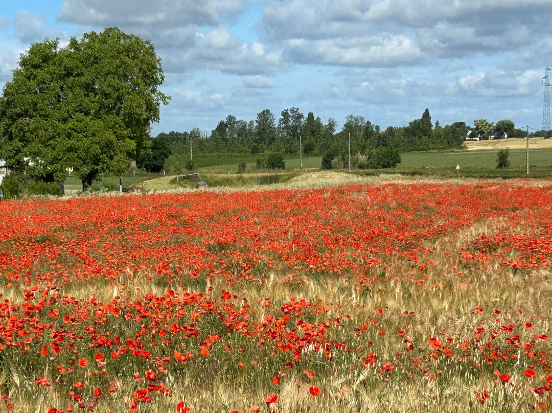 Loire Life Cycling Holidays-Parcay-les-Pins必去景点