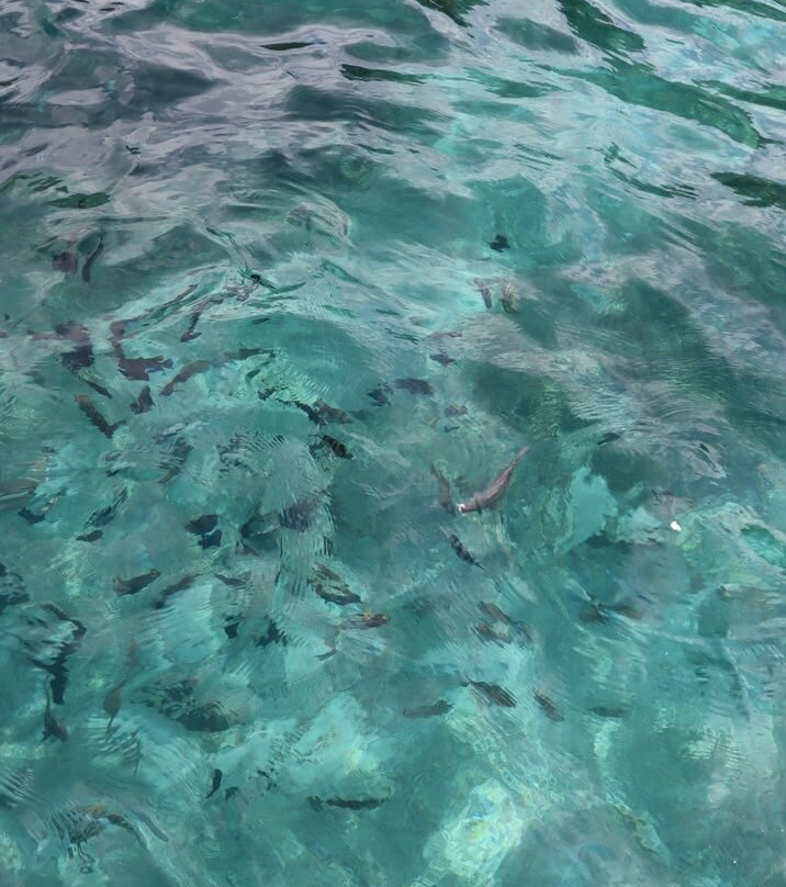 Redang Island Snorkeling Day Trip with Lunch-热浪岛必去景点