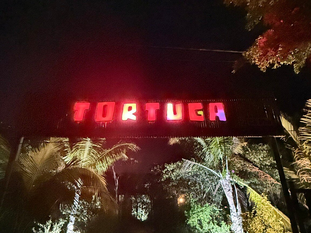 Tortuga Surf Camp-Cam Hai Dong必去景点
