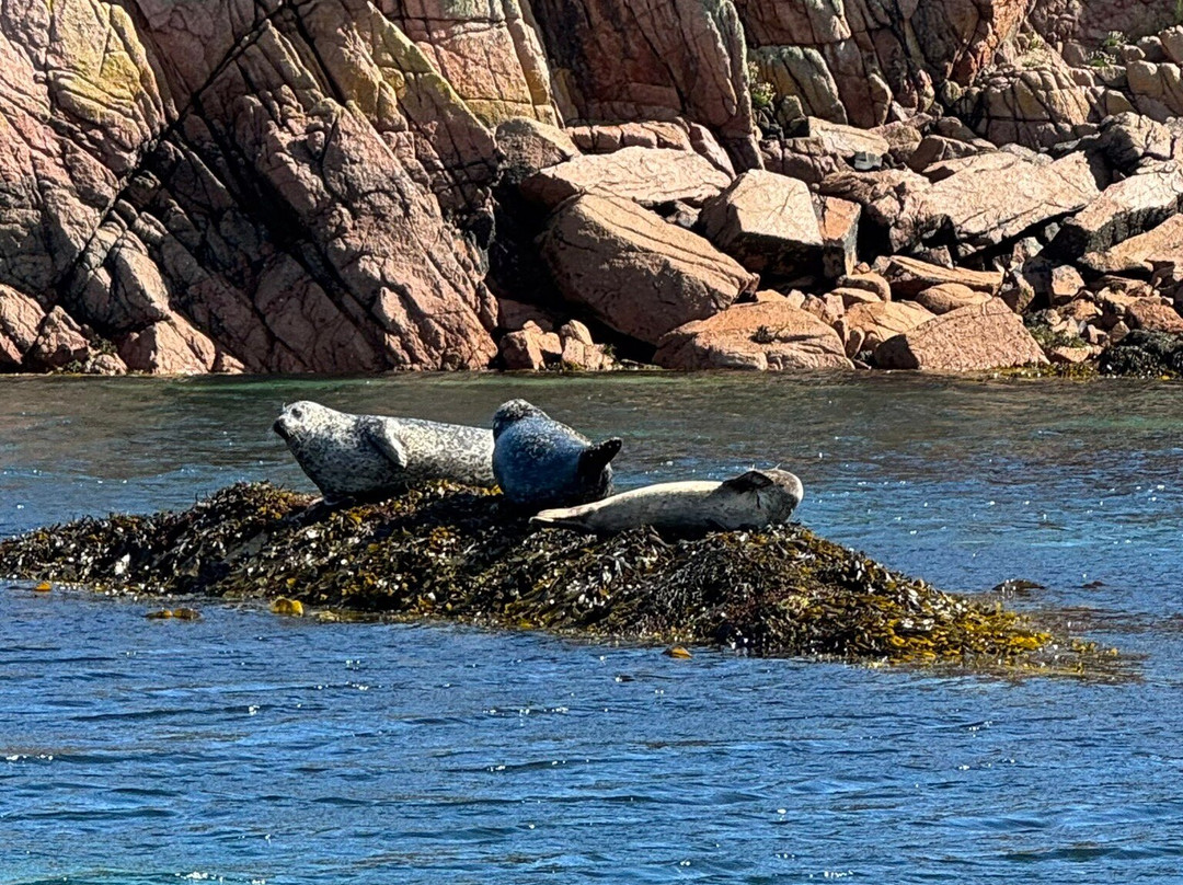 Staffa Trips-Isle of Iona必去景点