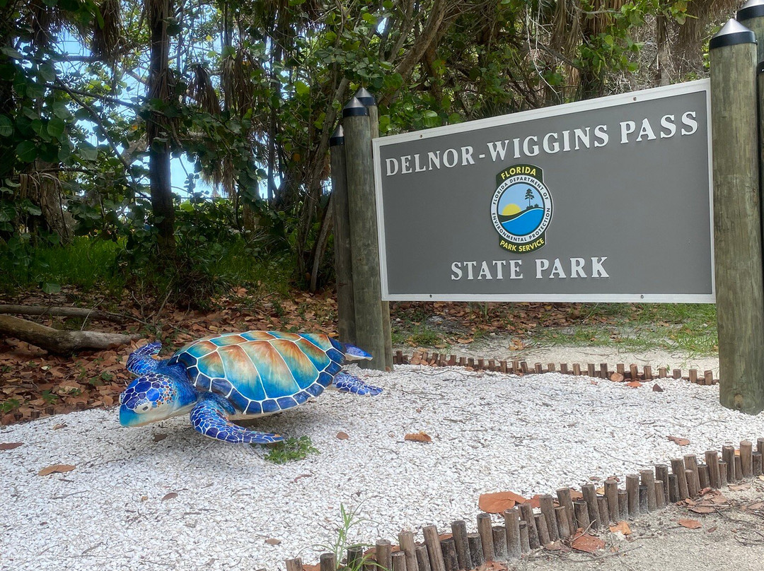 Delnor-Wiggins Pass State Park-那不勒斯必去景点