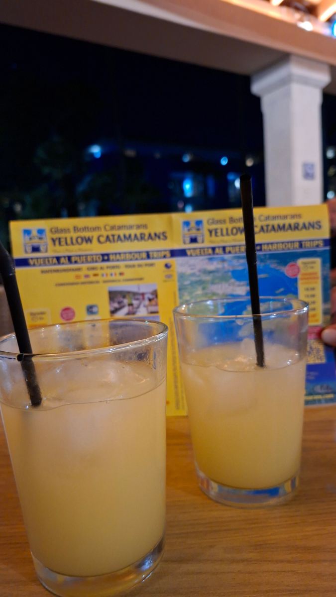 梅诺卡西方酒店-旅行者