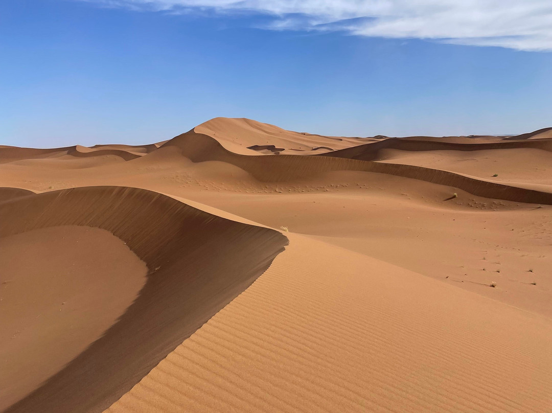 Desert Maroc Tours - Day Tours-扎古拉必去景点