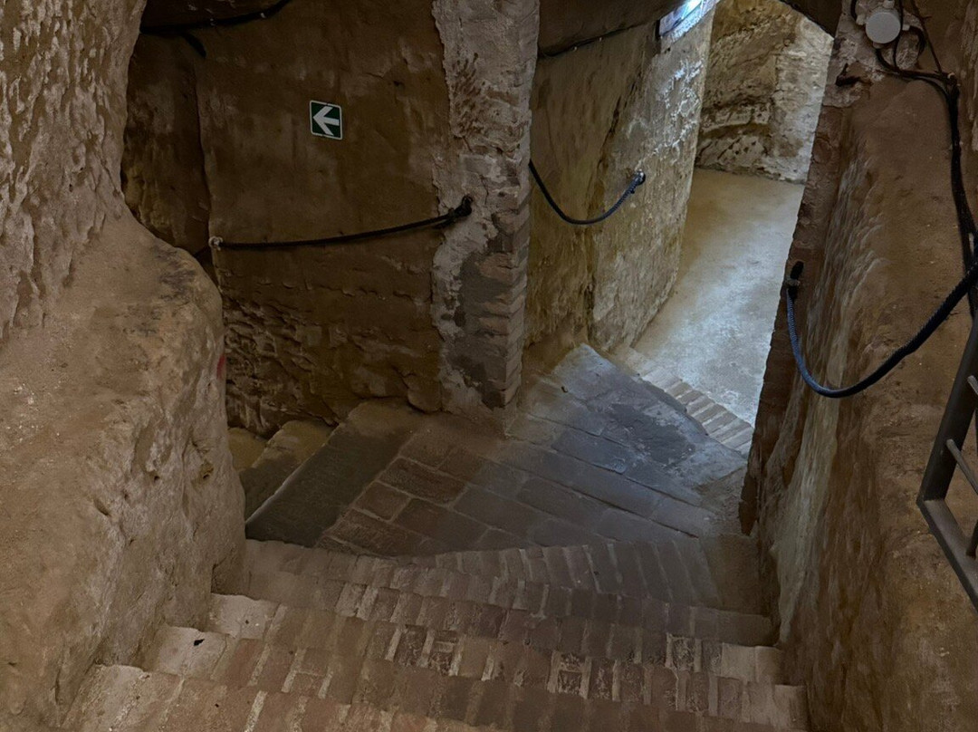 Museo Contrada Priora della Civetta-锡耶纳必去景点