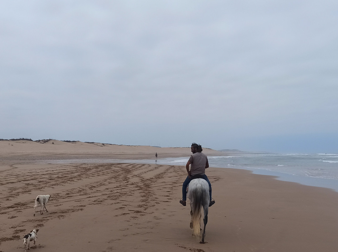 Horseriding with Atman-索维拉必去景点