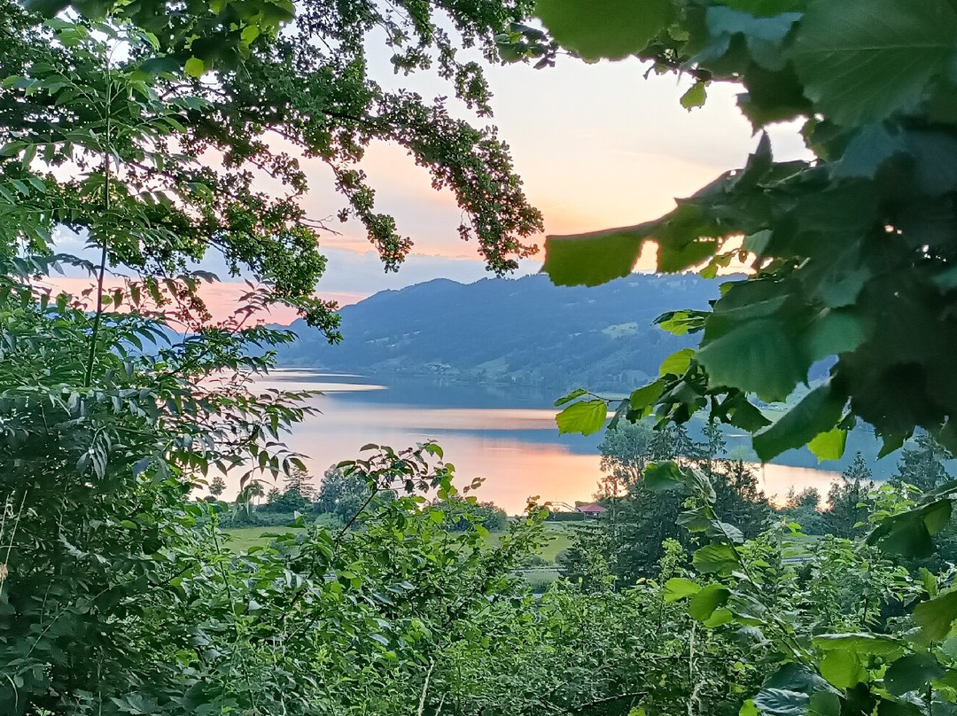 Alpsee-Immenstadt im Allgau必去景点