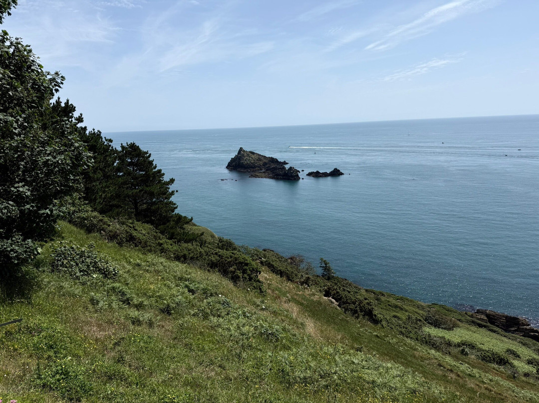Kingswear & Brownstone Battery Walk-Kingswear必去景点