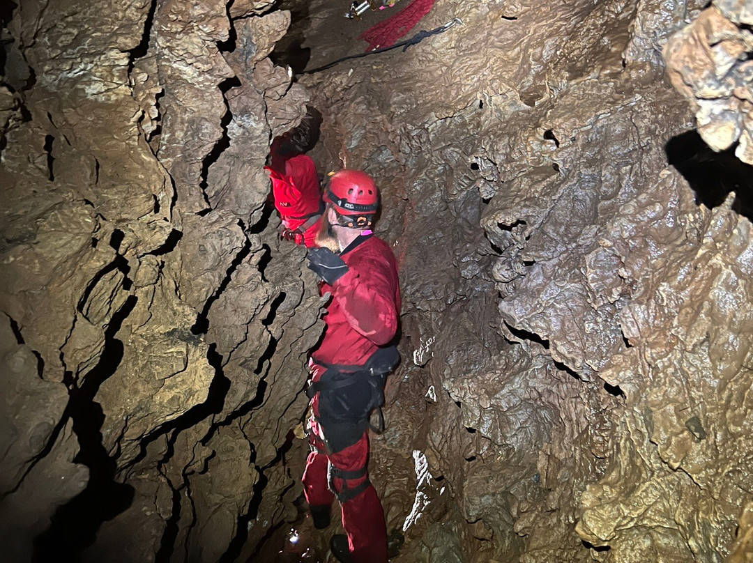 Horne Lake Caves Provincial Park-魁利克姆海滩必去景点
