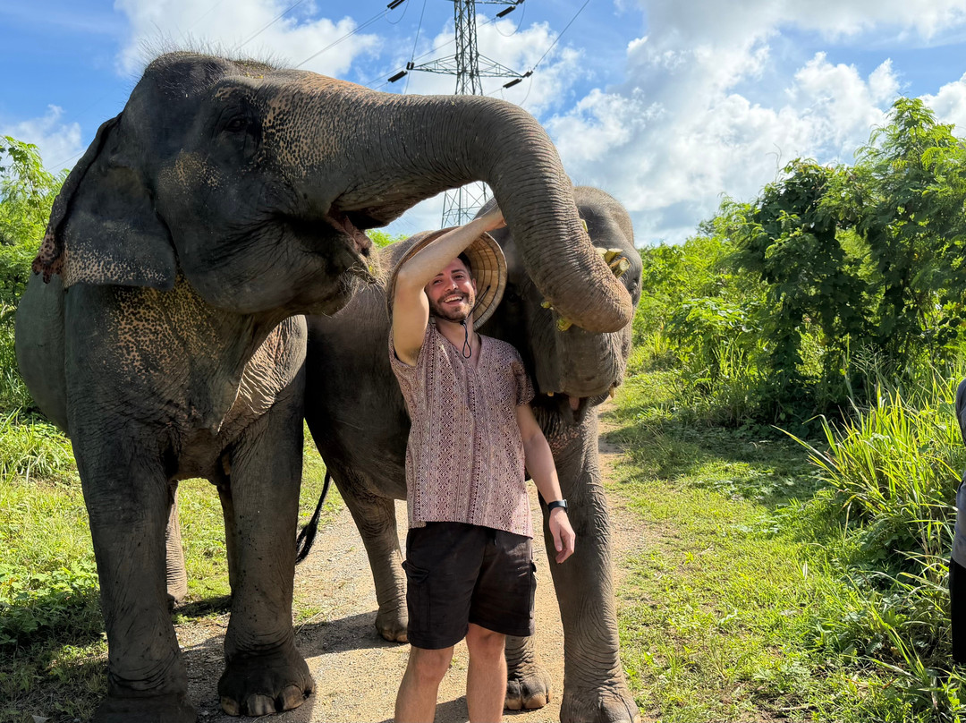 The Lake Phuket Elephant Home-Thep Krasatti必去景点