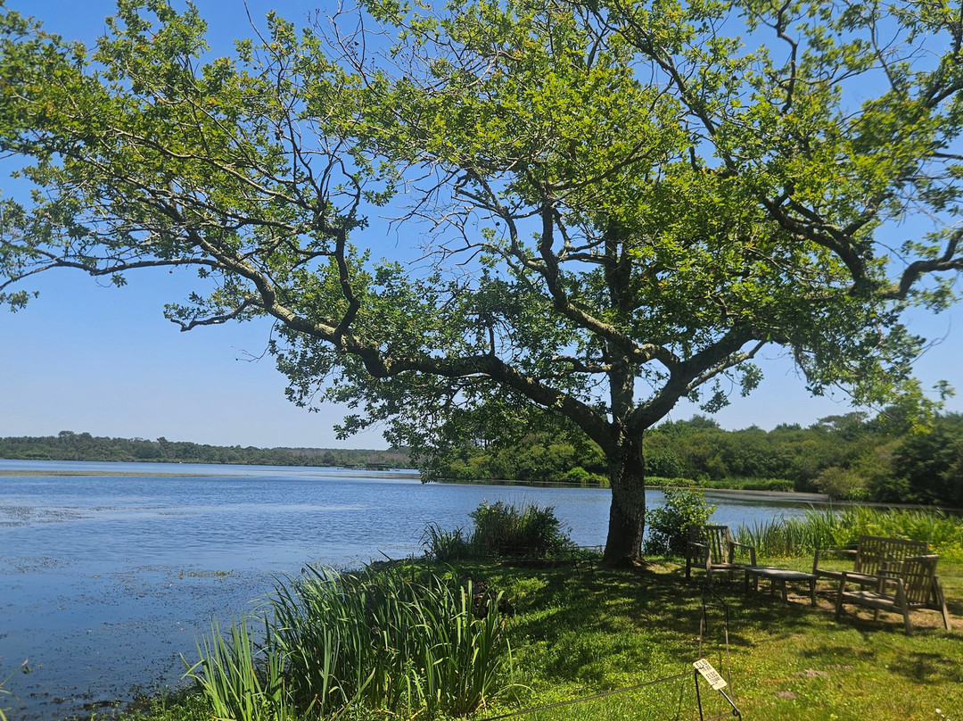 Villa Etang Blanc主图