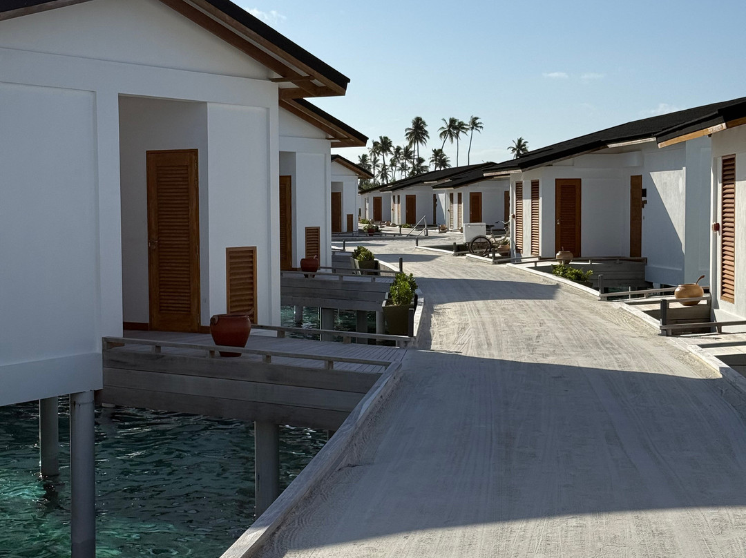 Joy Island Maldives by Cocoon Collection主图