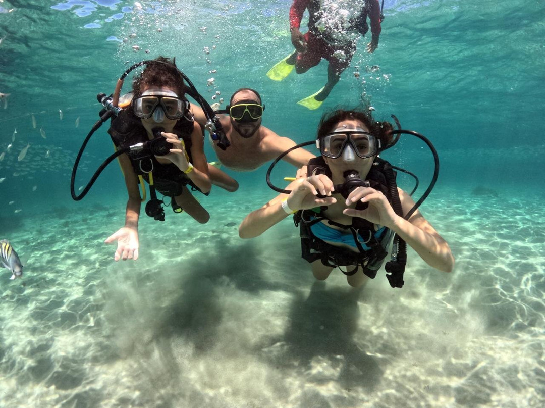 Maracajaú Diver-Maracajau必去景点