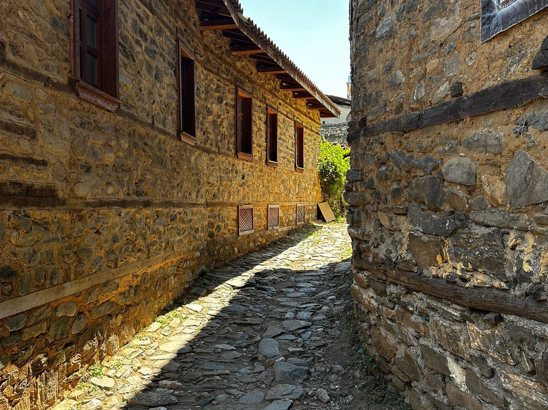 Cumalıkızık-布尔萨必去景点