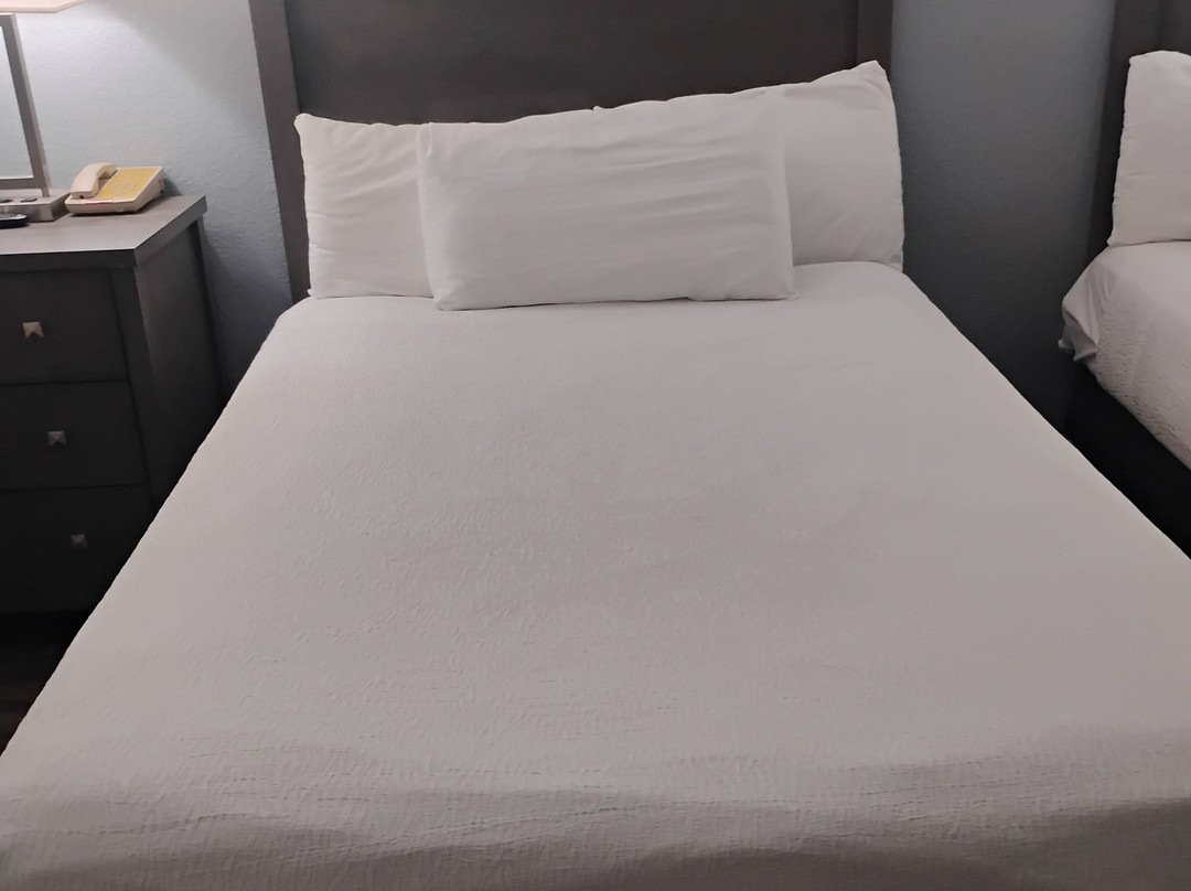 达纳点海滨套房旅馆主图