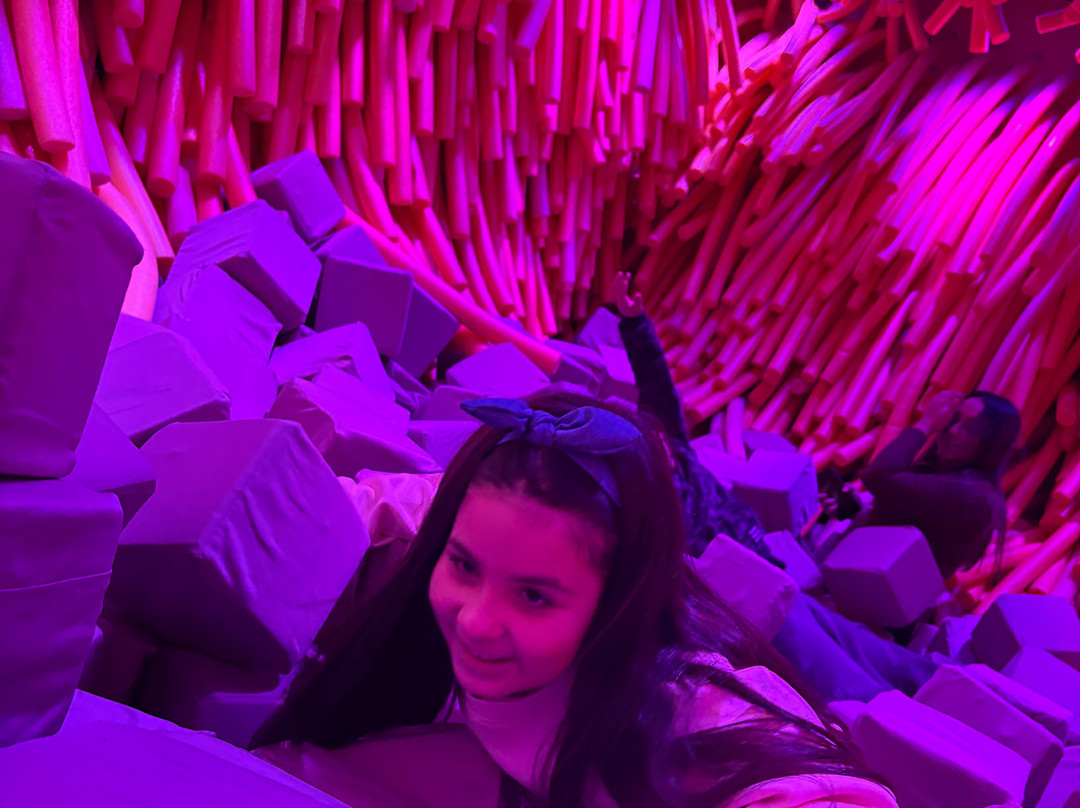 Dopamine Land Santiago: A multisensory experience-Providencia必去景点