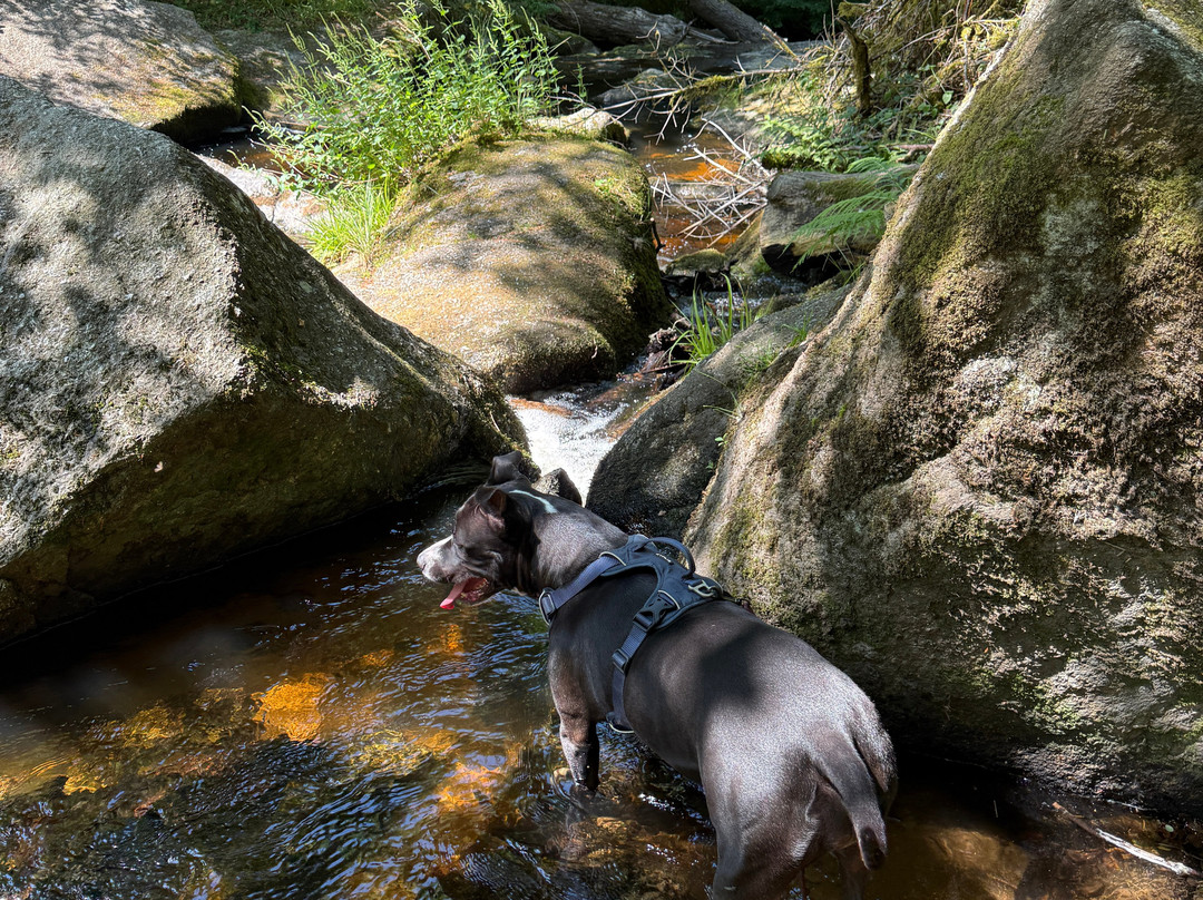 Cascades des jarrauds-Saint-Pardoux-Morterolles必去景点