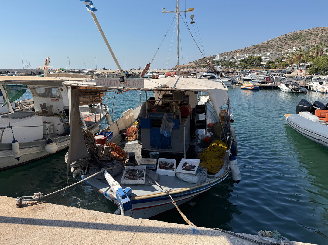 Athenian Riviera Tours-Varkiza必去景点