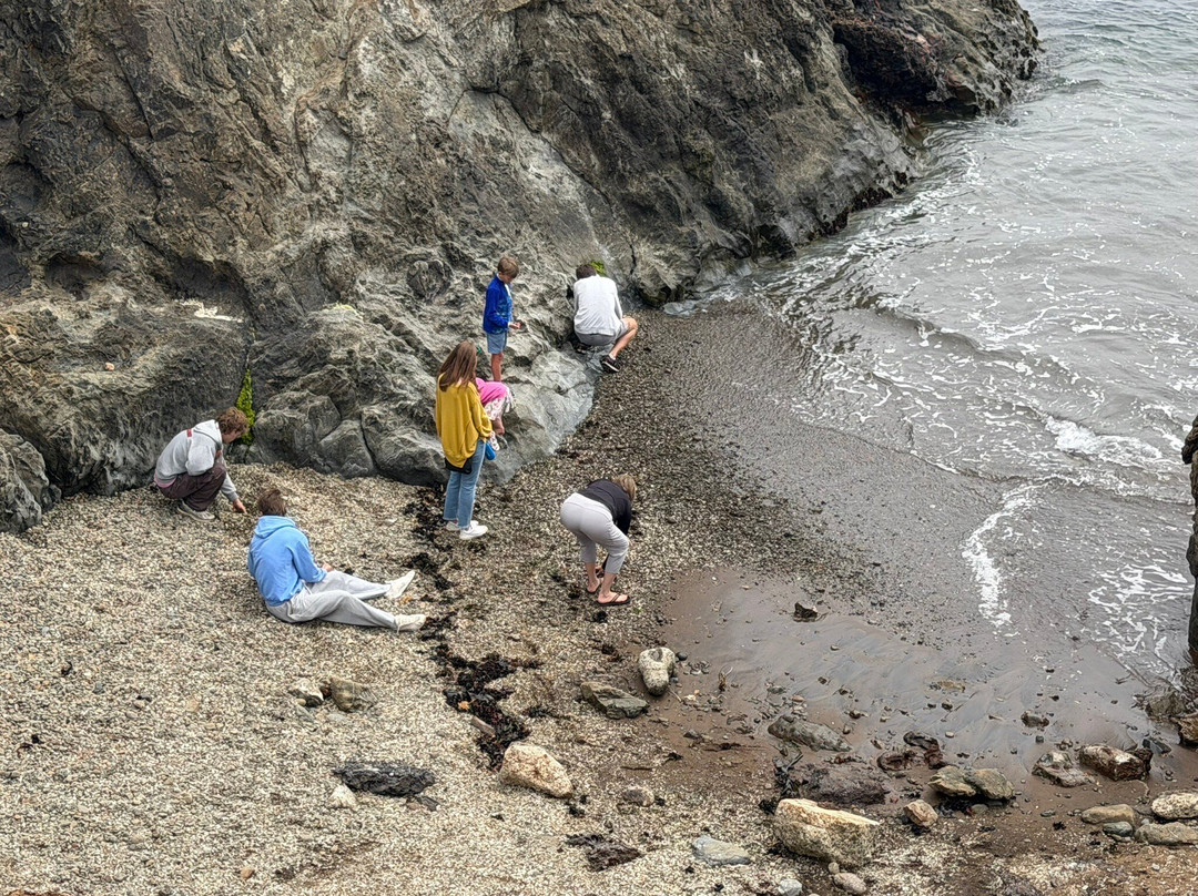 Glass Beach-布拉格堡必去景点