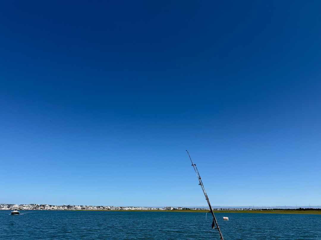 Miss Avalon Fishing-Avalon必去景点